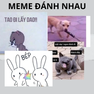 300+ Meme Đánh Người: Khi Sự Bực Bội Biến Thành Tiếng Cười Sảng Khoái