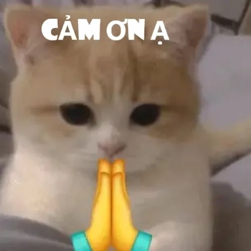50+ Meme Đội Ơn Tuyệt Hảo Thay Lời Cảm Tạ Sâu Sắc