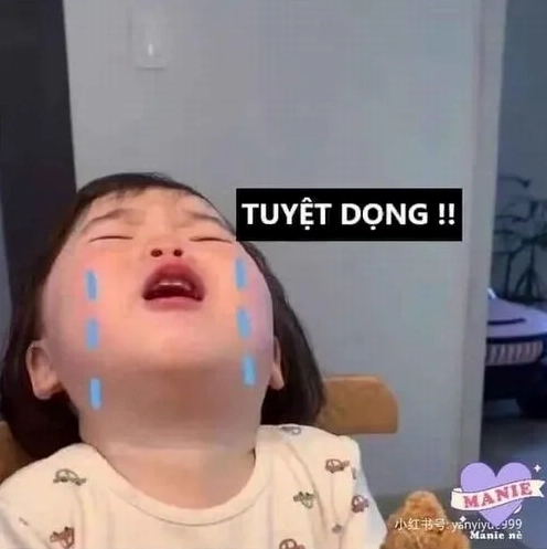 50+ Meme Thất Vọng Bộc Lộ Cảm Xúc Chân Thật Nhất Năm 2026