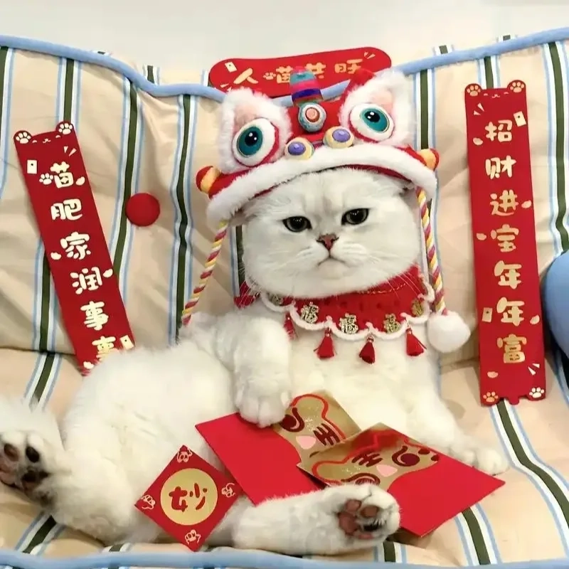 Ảnh avatar mèo meme Tết phù hợp làm ảnh profile cực hút mắt