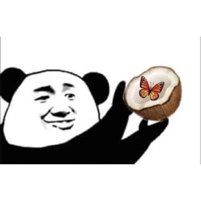 Ảnh chế meme gấu trúc bựa Weibo – Khi “boss” gấu trúc cũng tấu hài