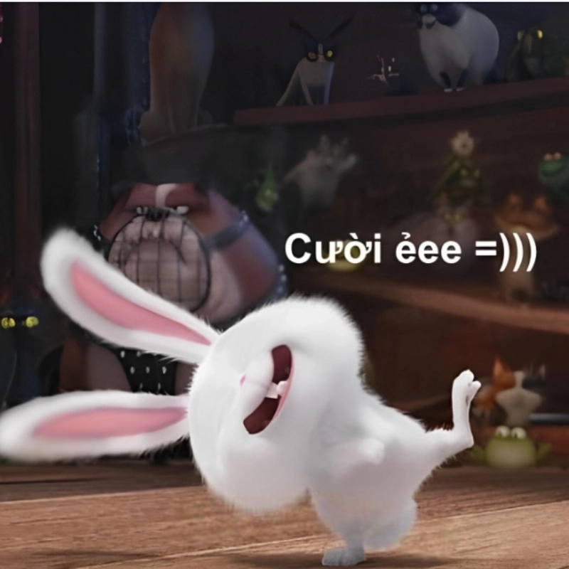 Ảnh hài meme ảnh chó hài bá đạo không cần chỉnh