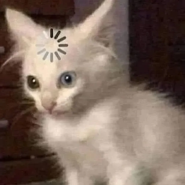 Ảnh khó hiểu meme ghi lại khoảnh khắc ngơ ngác