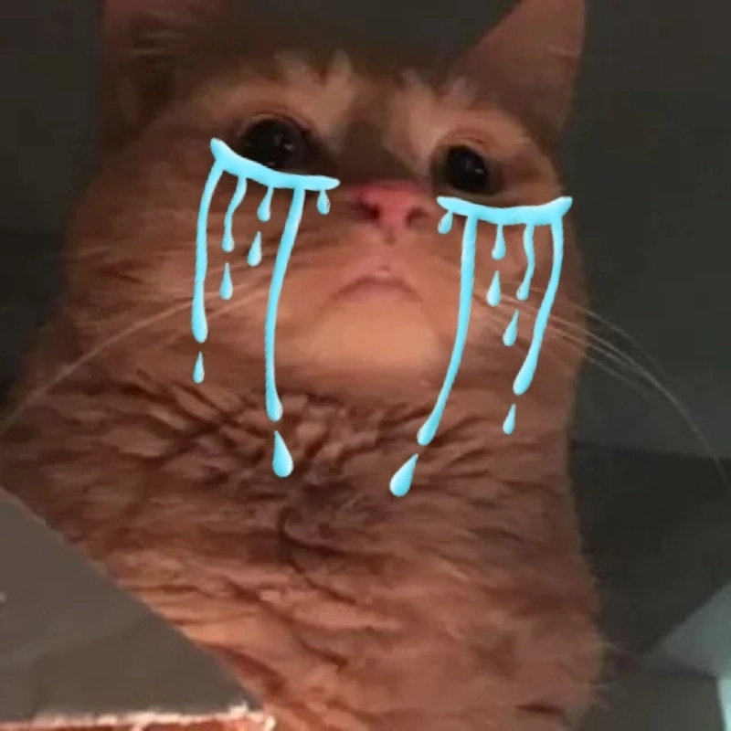 Ảnh meme avatar mèo khóc cực hợp cho ảnh đại diện tâm trạng