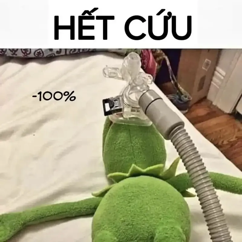 Ảnh meme hết cứu thể hiện sự tuyệt vọng tài chính