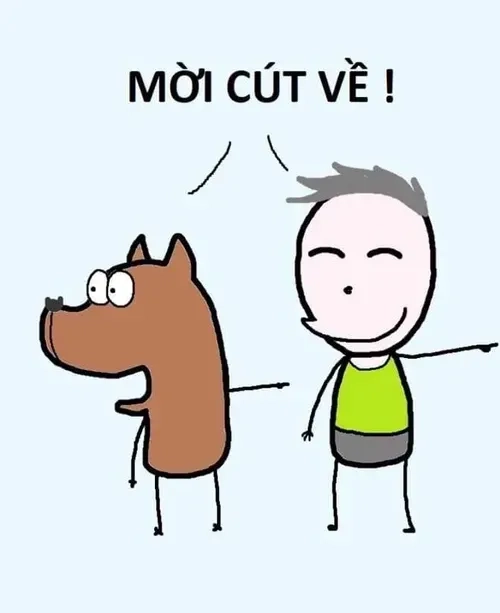 Ảnh meme từ chối độc đáo, biểu cảm khó đỡ nhất mạng