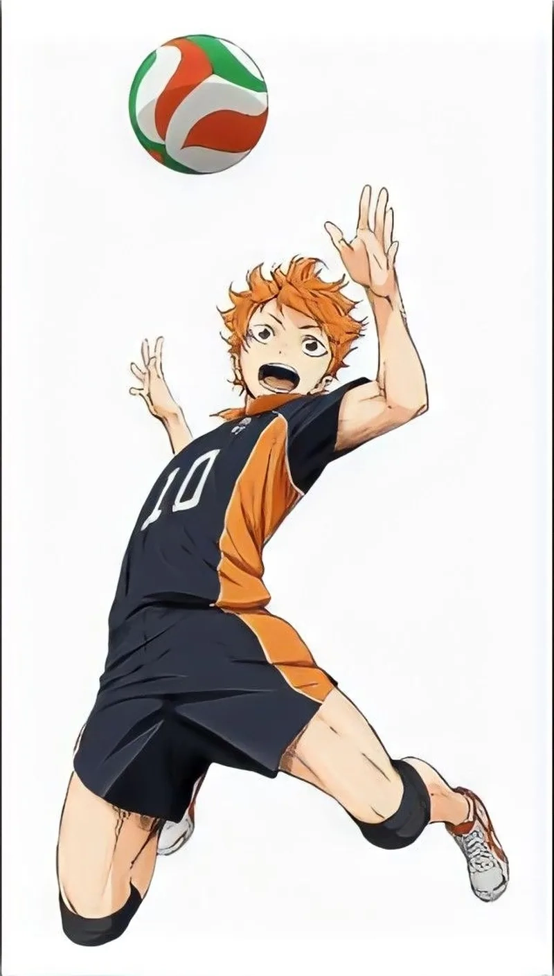 Anime Hinata Shouyou là một trong những nhân vật được yêu thích nhất