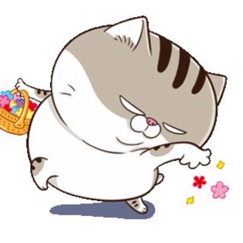 Avatar ảnh mèo cute ngọt ngào mê mẩn cuốn hút