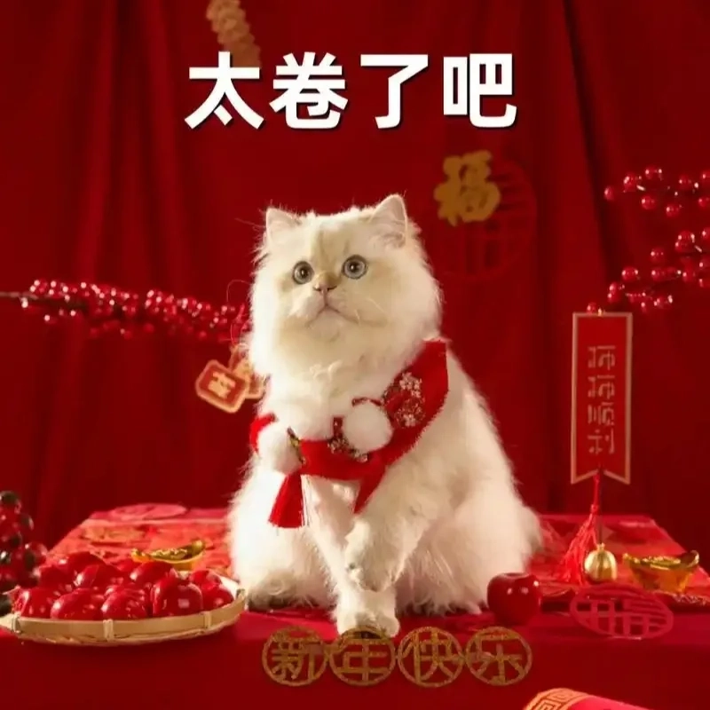 Avatar ảnh mèo Tết meme là hình đại diện xuân vui, cực ngộ nghĩnh