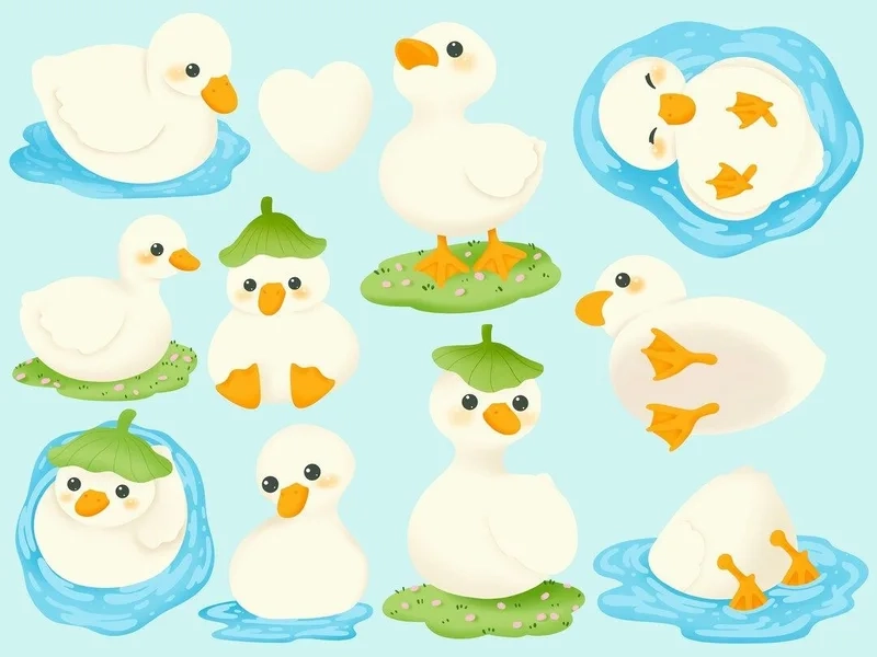 Avatar chibi đẹp với hình ảnh vịt dễ thương không thể bỏ qua