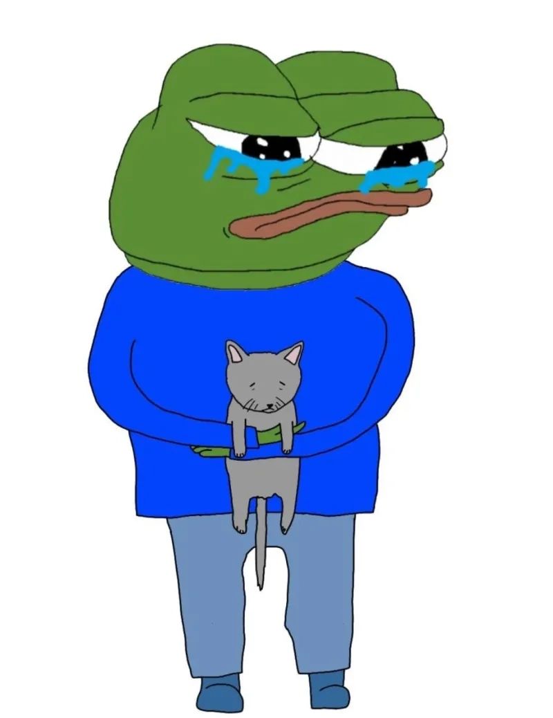 Avatar ếch xanh meme, biểu cảm dễ thương, ngộ nghĩnh
