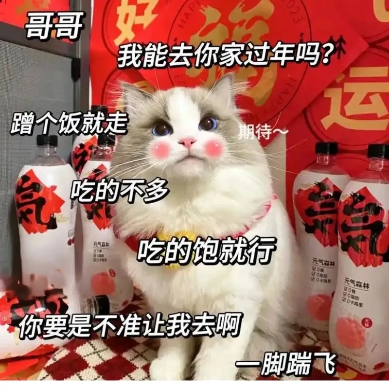 Avatar meme Tết mèo giúp bạn lan toả không khí lễ hội rộn ràng