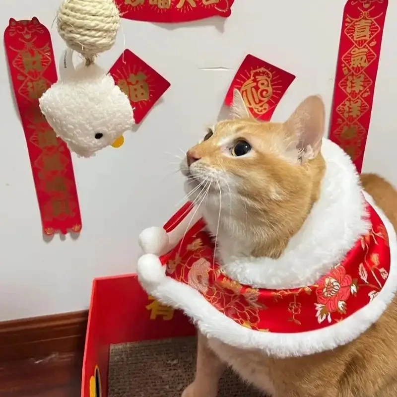 Avatar mèo đón Tết meme giúp bạn lan tỏa niềm vui năm mới