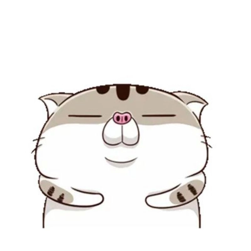 Avatar mèo ngầu cool ngầu dễ thương chất