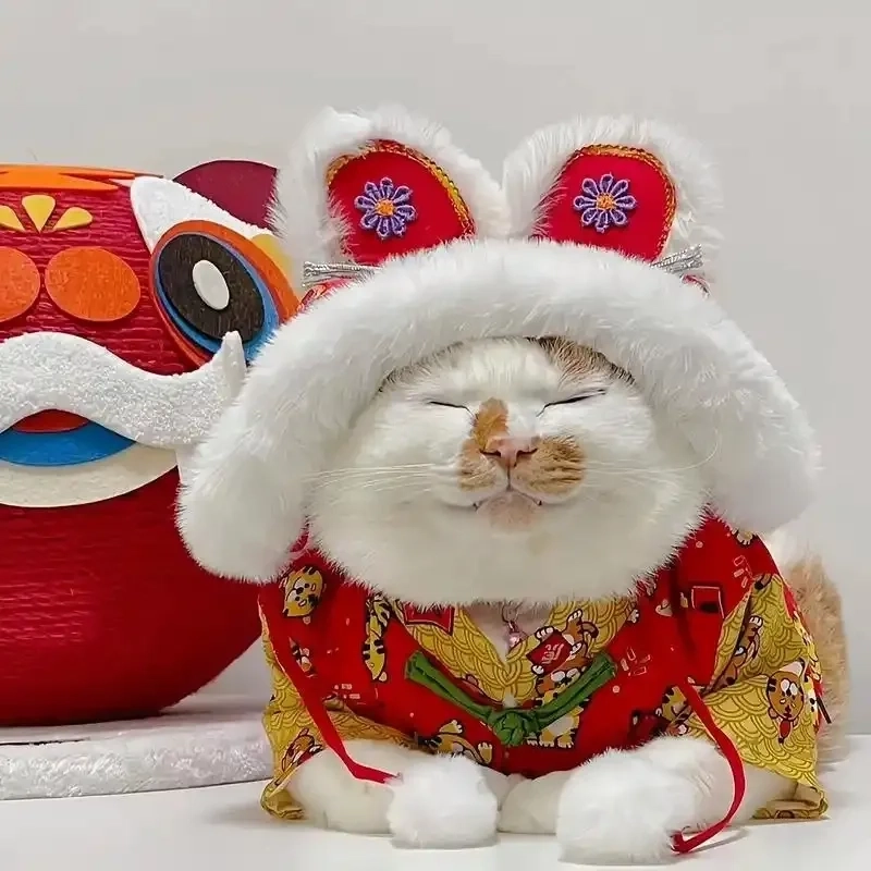Avatar mèo Tết meme hài mang lại tiếng cười rộn rã ngày Tết