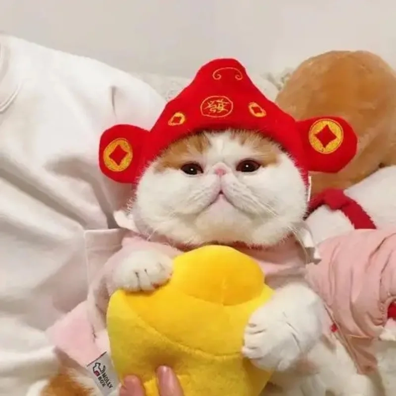 Avatar Tết con mèo meme giúp ảnh đại diện thêm vui nhộn, đầy màu sắc