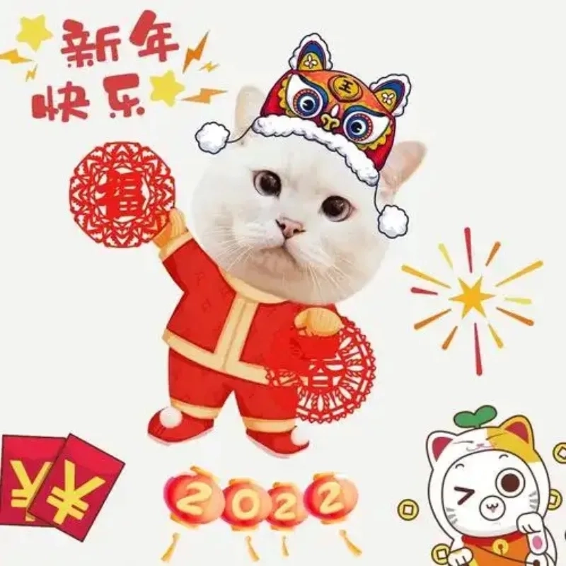 Avt meme mèo Tết là phong cách ảnh đại diện siêu hot Tết này