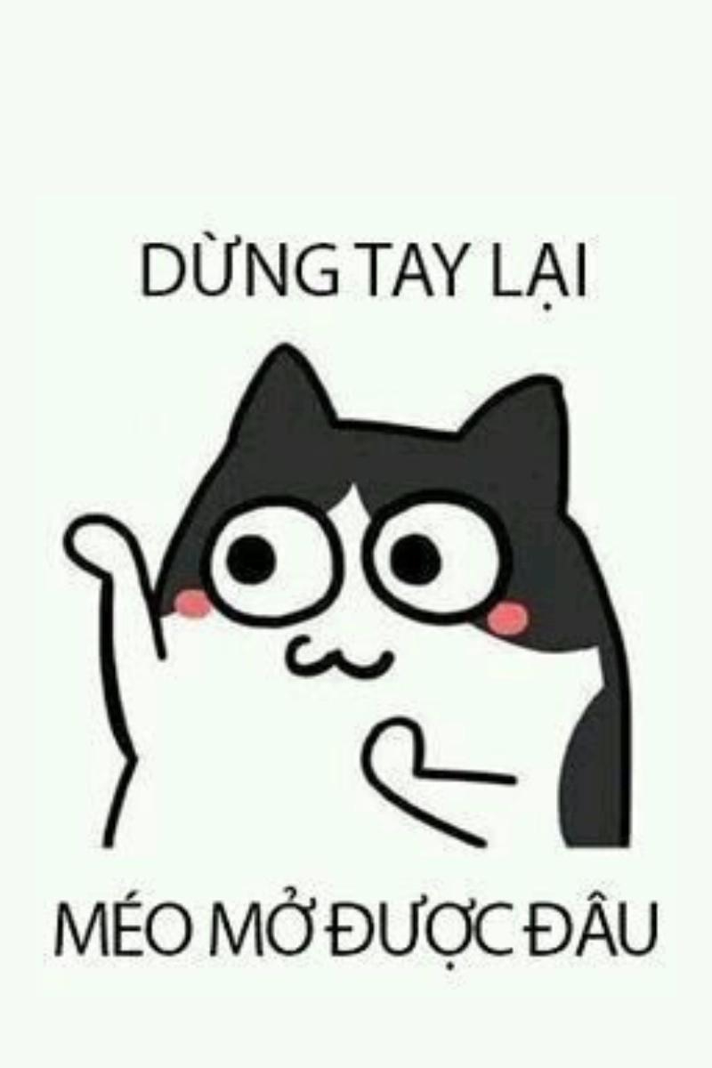 Bộ nền meme hot nhất mạng xã hội, nhìn là phải lưu ngay
