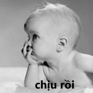 Bộ sưu tập ảnh meme chịu thua và hết cứu hài hước 2026