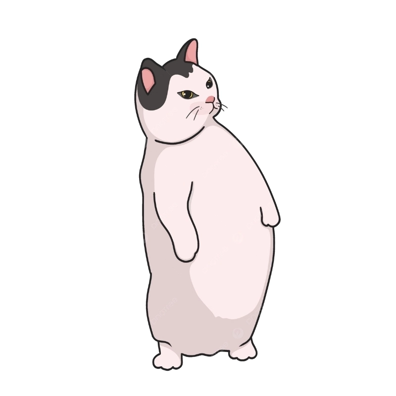 Không chỉ meme, cả phim mèo cute cũng khiến trái tim bạn rung rinh