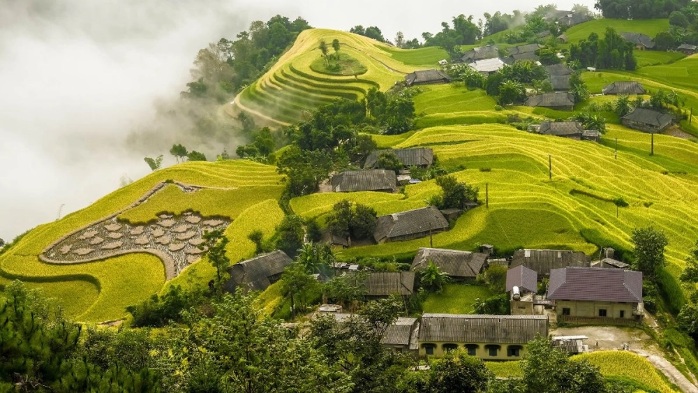 Bỏ túi ngay kinh nghiệm du lịch Hoàng Su Phì hữu ích