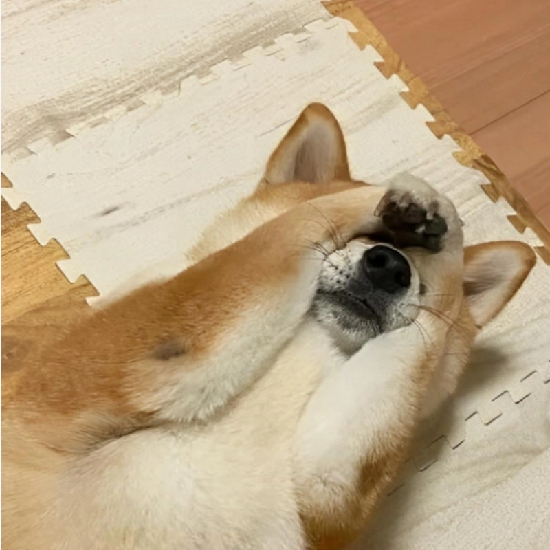 Bối rối, sốc hay mệt mỏi? Ôm đầu meme diễn tả hết cảm xúc