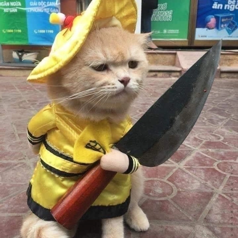 Meme cầm dao đuổi chạy ngay đi nếu còn yêu đời