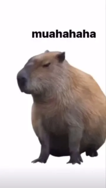 Capybara meme cute chill ngầu dễ thương bá đạo