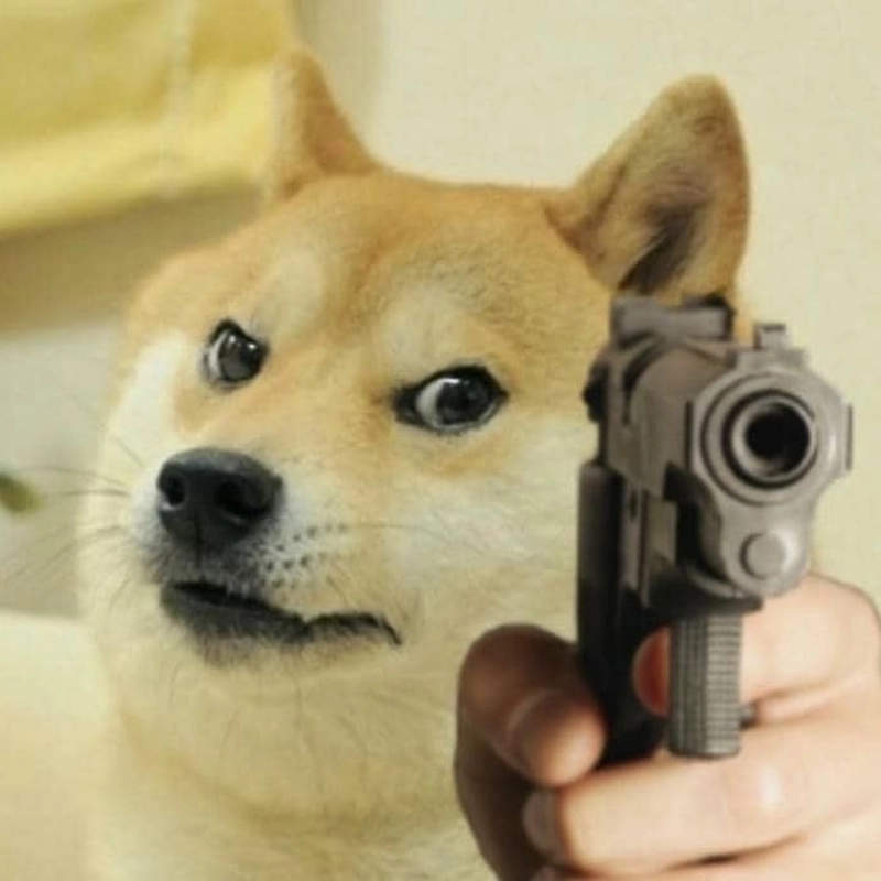 Chắc chắn bạn sẽ không thể ngừng cười với cheems meme chó cực kỳ ngộ nghĩnh