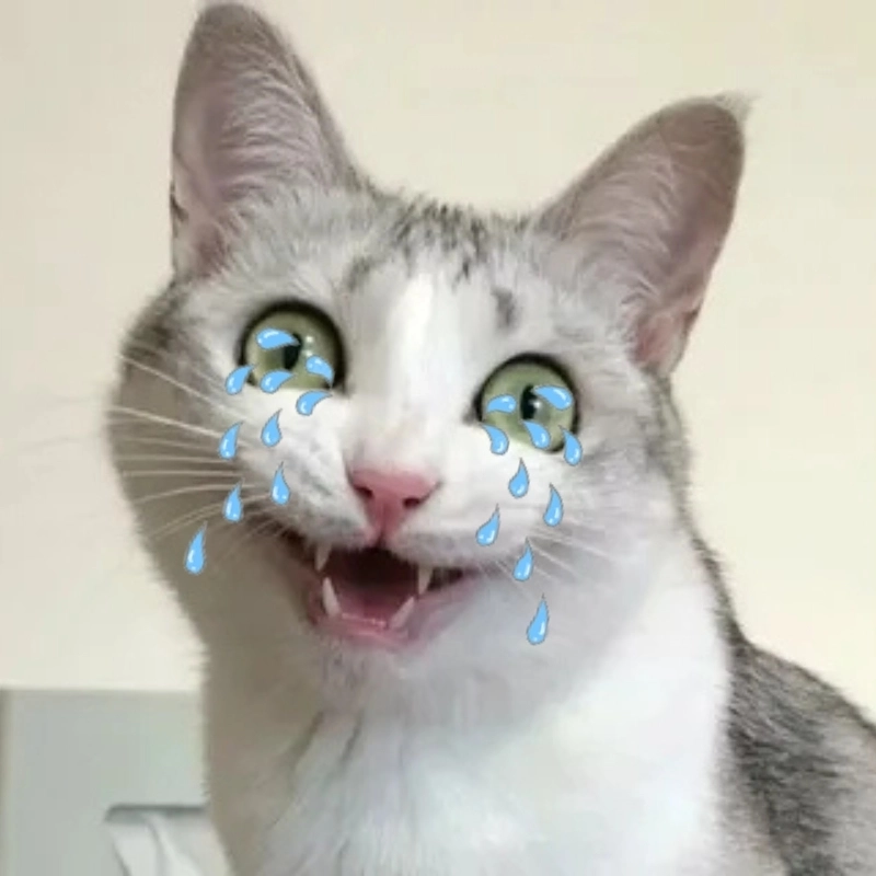 Che miệng meme mèo khóc cute khiến cộng đồng mạng cười xỉu