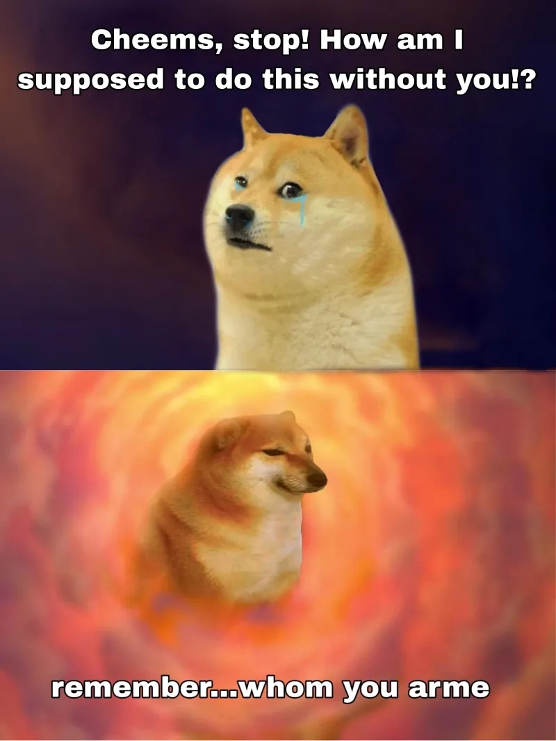 Cheems meme chó biểu cảm hài và dễ thương cực độ