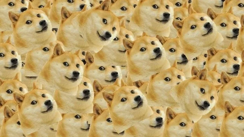 Cheems meme sea độc đáo với phong cách biển cả