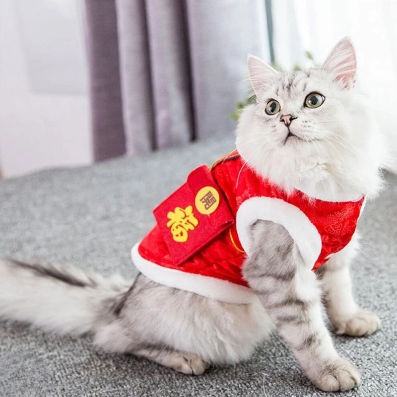 Cheems meme tết bá đạo mang đến tiếng cười sảng khoái