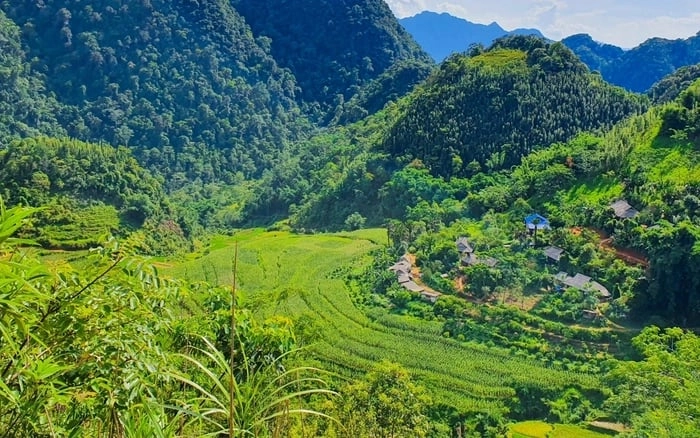 Chiêm ngưỡng hình ảnh của khu bảo tồn thiên nhiên Pù Luông tuyệt đẹp