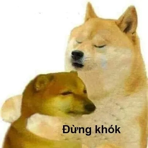 Chó cheems meme hài hước và đáng yêu vô cùng