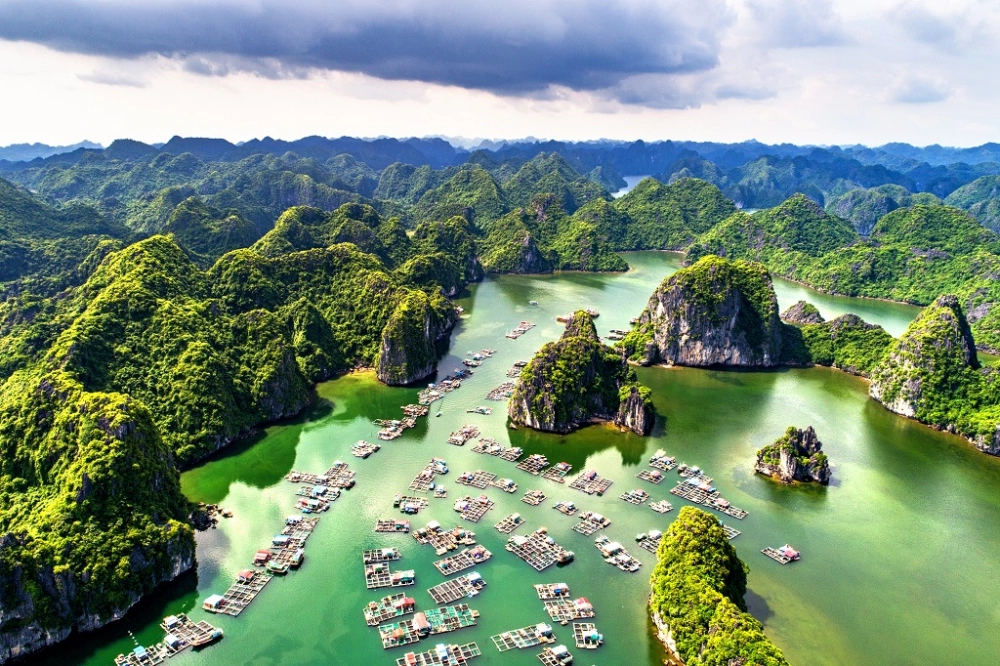 Chọn combo du thuyền vịnh lan hạ để khám phá