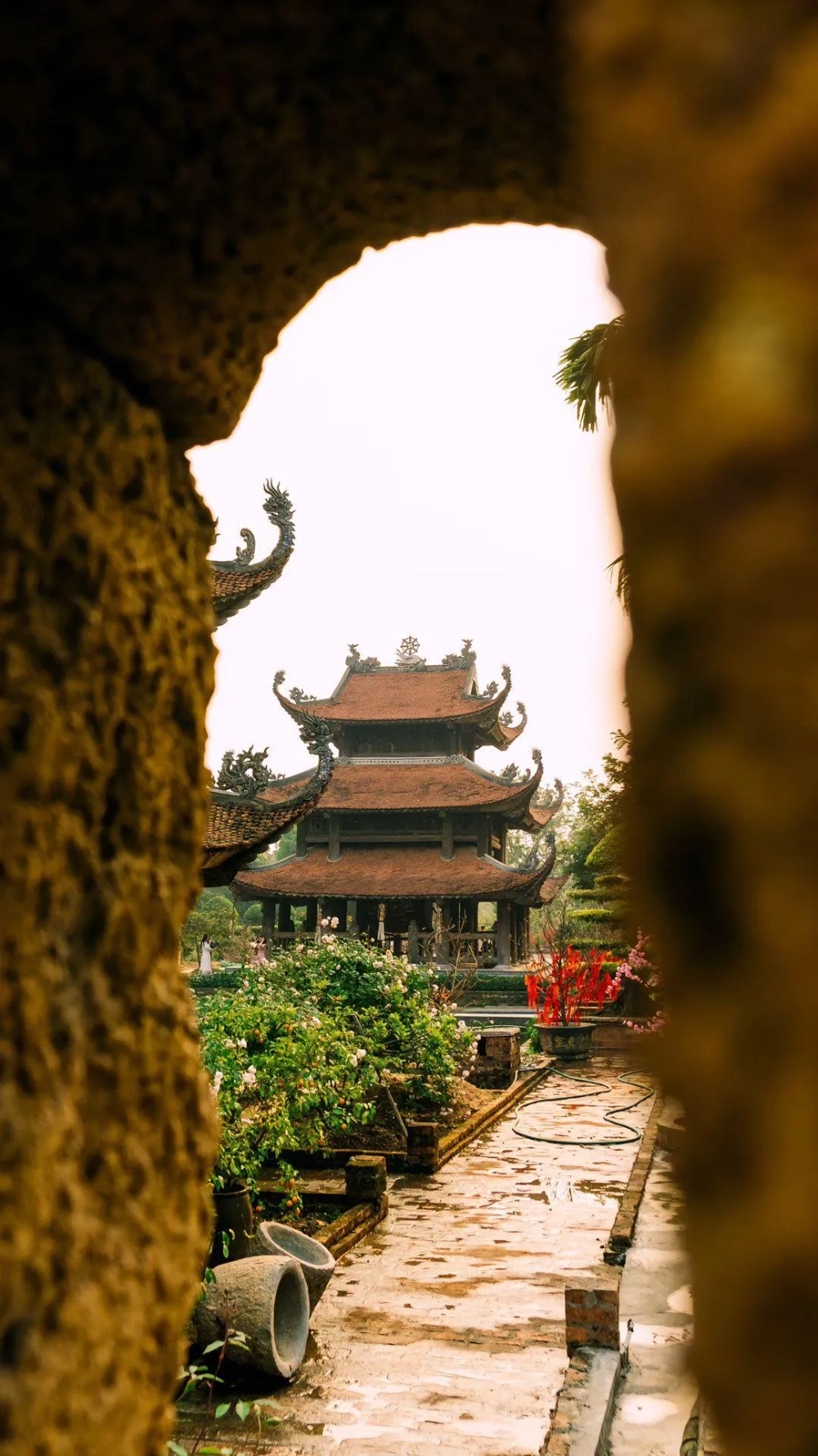Chùa nôm đường di là con đường dẫn đến chùa có nhiều cây xanh, mát mẻ