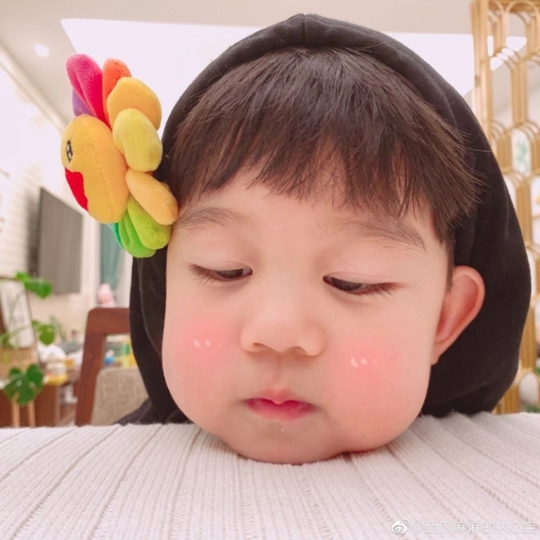 Ảnh meme dễ thương bùng nổ niềm vui qua bộ ảnh nghệ thuật
