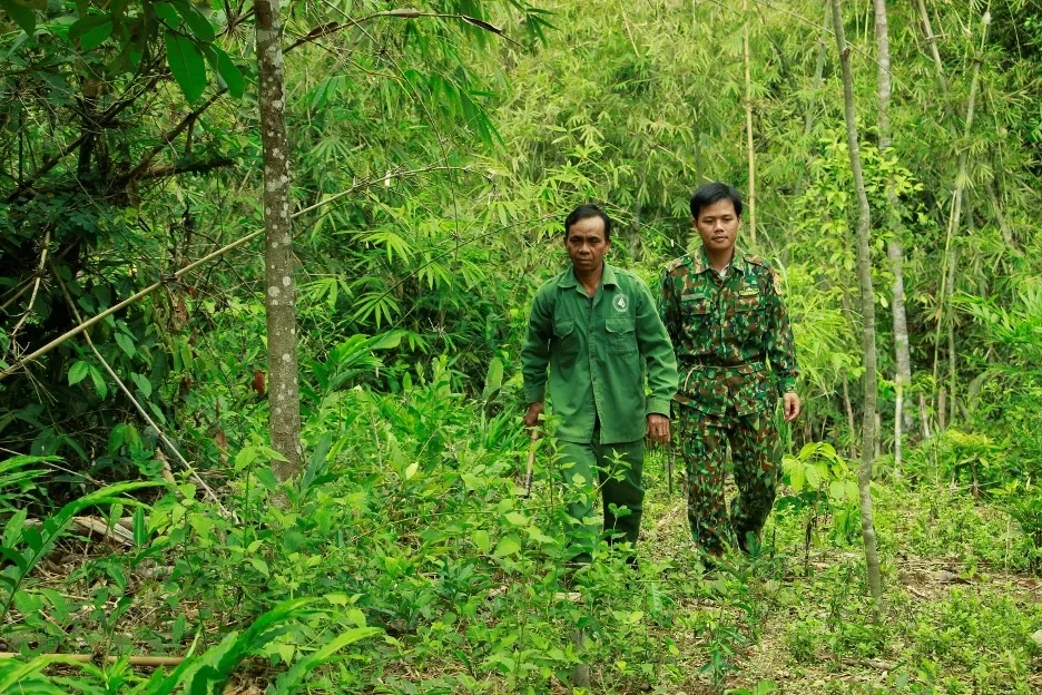 Cùng tìm hiểu về ban quản lý vườn quốc gia bù gia mập khi đến tham quan