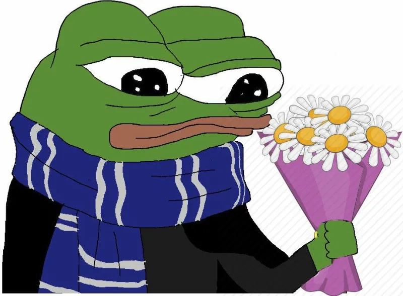 Cute ếch xanh kermit meme, biểu cảm đáng yêu, dễ thương