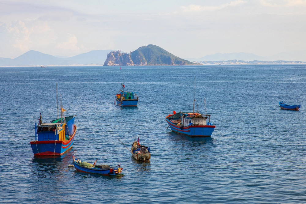 Đắm mình trong làn nước biển vũng rô xanh mát
