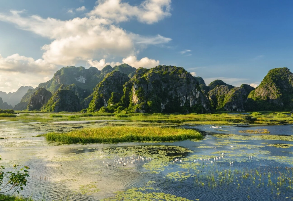 Đầm Vân Long Gia Vân Gia Viễn Ninh Bình khung cảnh thiên nhiên đẹp