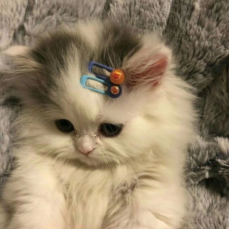 Dành riêng cho những khoảnh khắc yêu thương, meme thương em sẽ khiến bạn cảm thấy ấm áp.