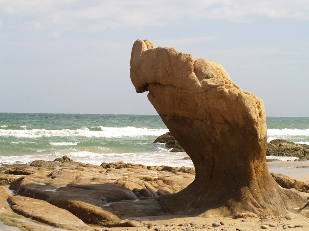 Điểm danh nhanh nơi nào có biển cổ thạch