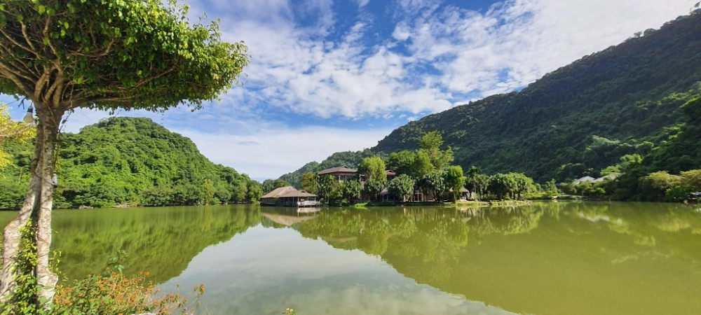Đọc review vườn chim thung nham từ du khách