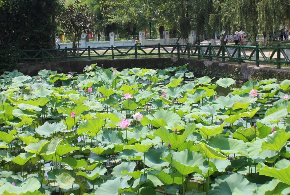 Du lịch khu di tích Kim Liên phù hợp cho mọi lứa tuổi.