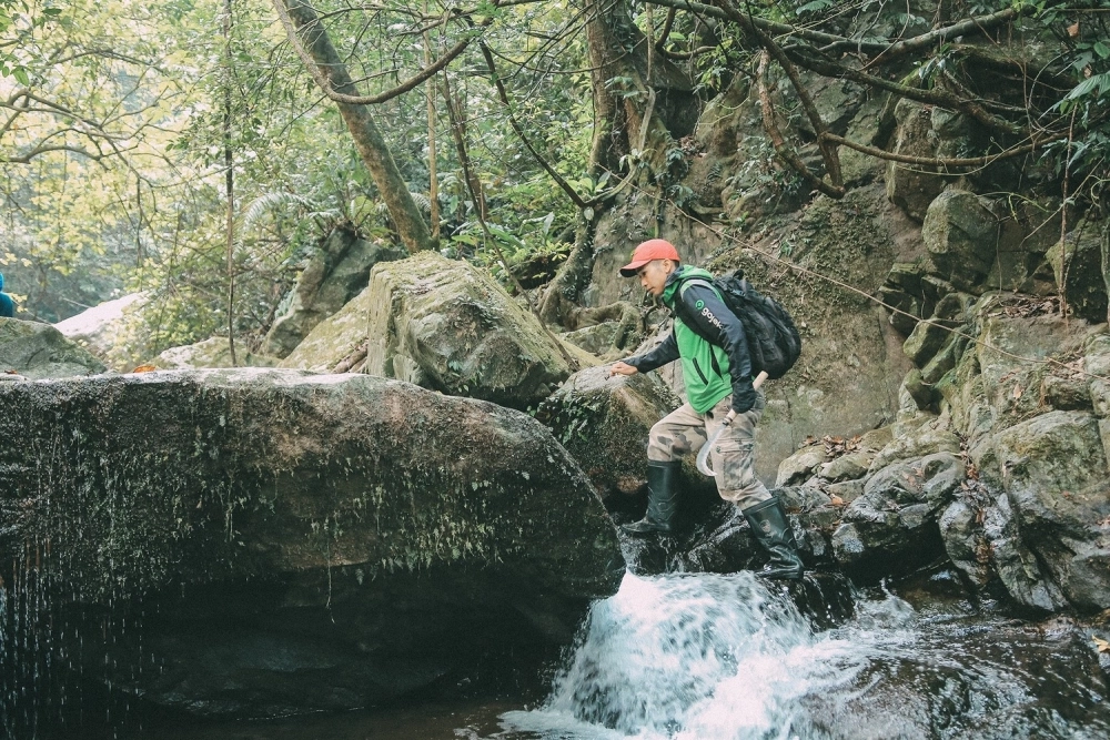 Đưa đôi chân bạn đến với trekking vườn quốc gia tam đảo khám phá thiên nhiên
