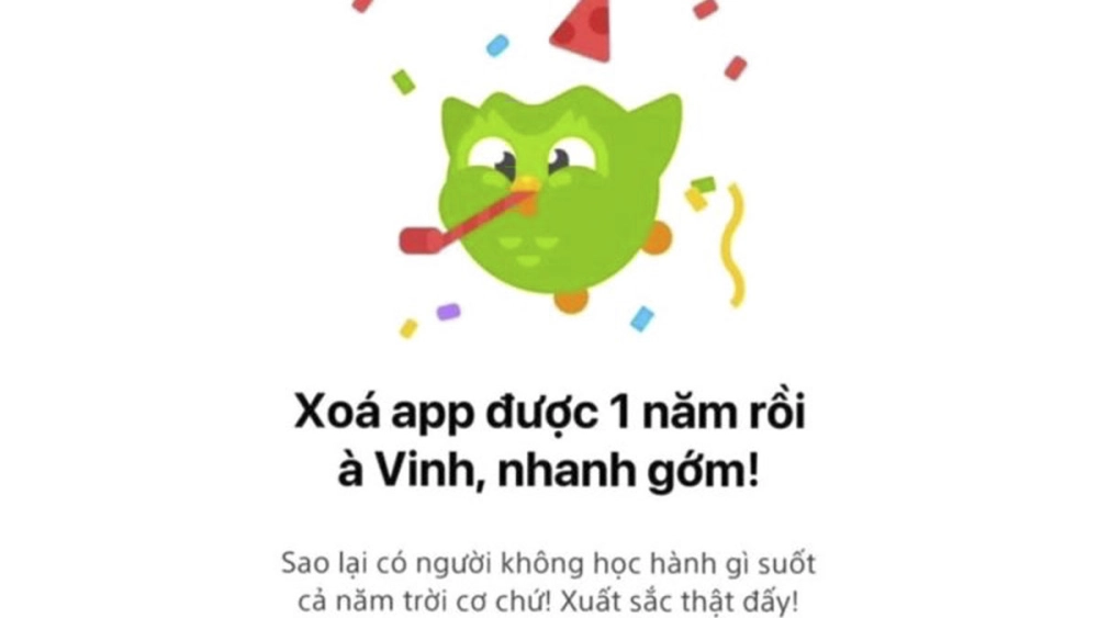Duolingo meme PNG nền trong suốt, dễ dàng chỉnh sửa cực tiện lợi