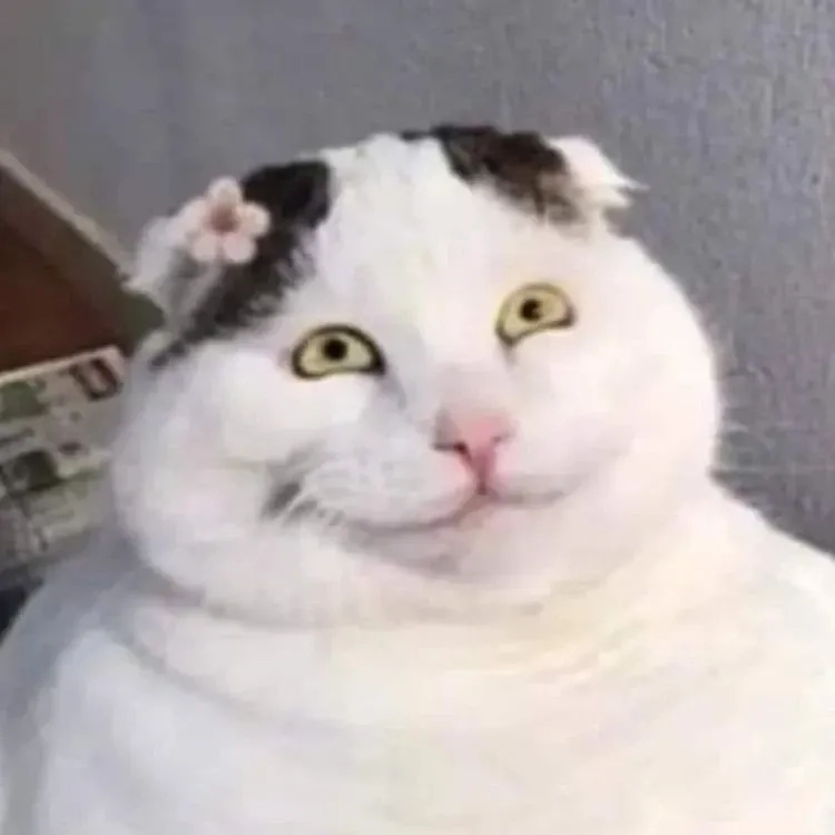 Emoji cười meme dễ thương và thú vị, không thể không yêu thích!