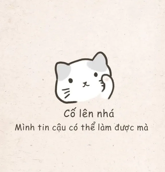Fighting meme quyết tâm chiến đấu cười đau bụng